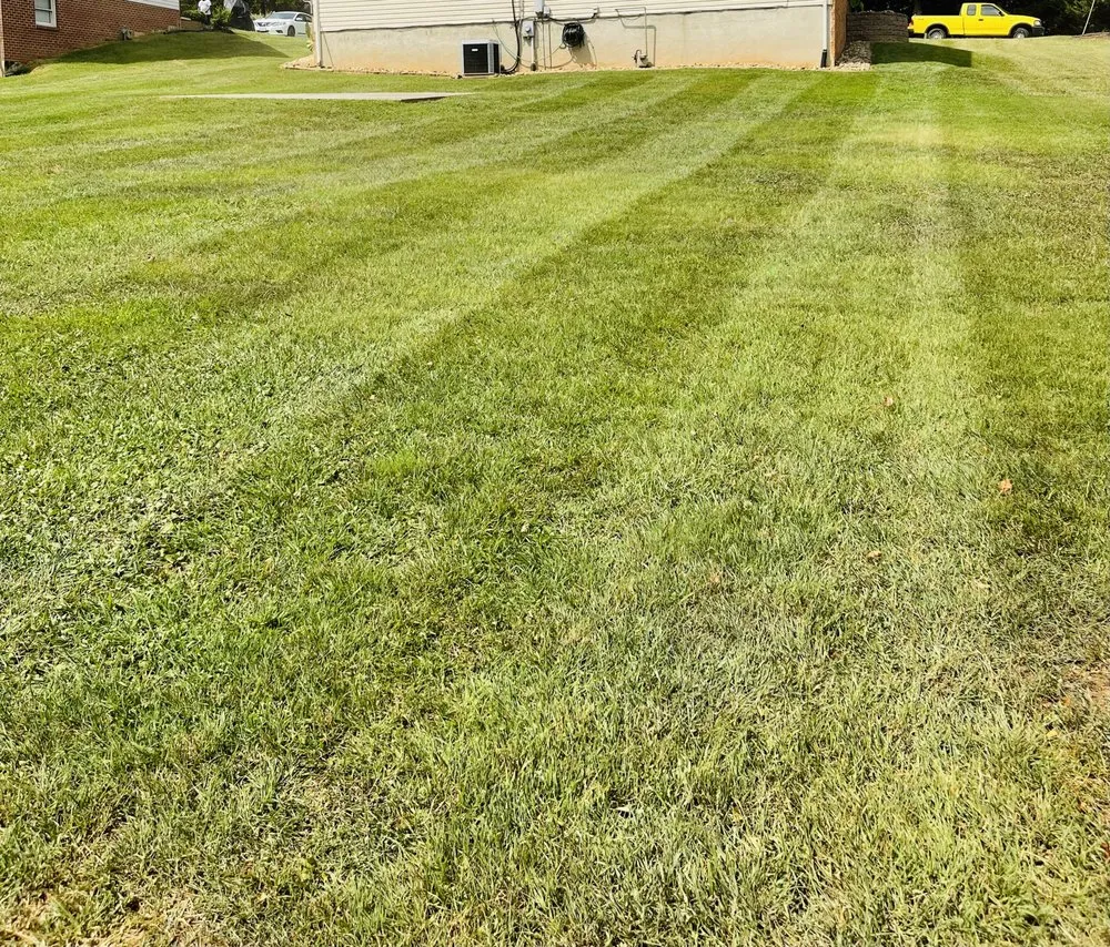 Affordable landscape design near you across Danville, VA - Q&M Lawn Care