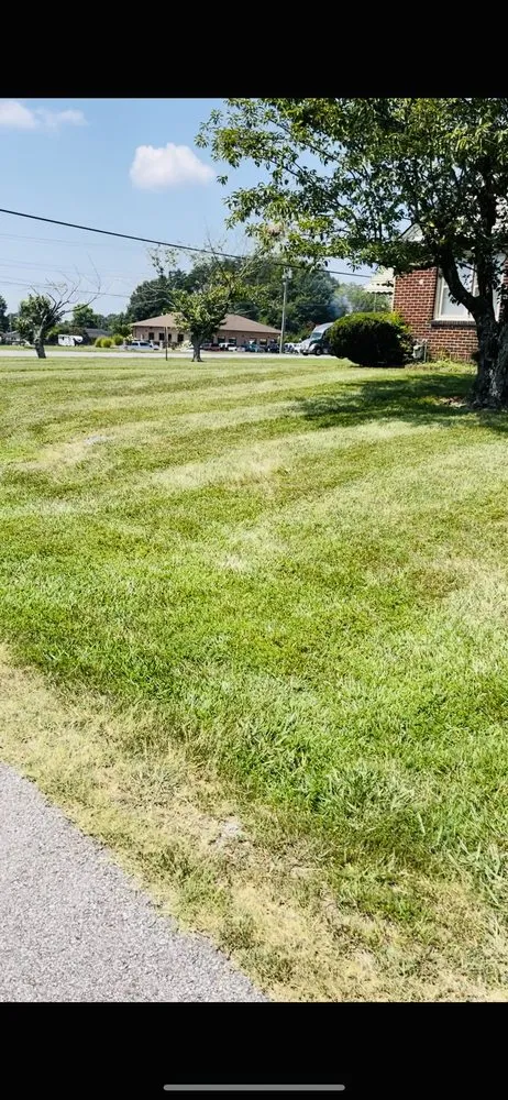 Professional landscape design experts serving Danville, VA - Q&M Lawn Care