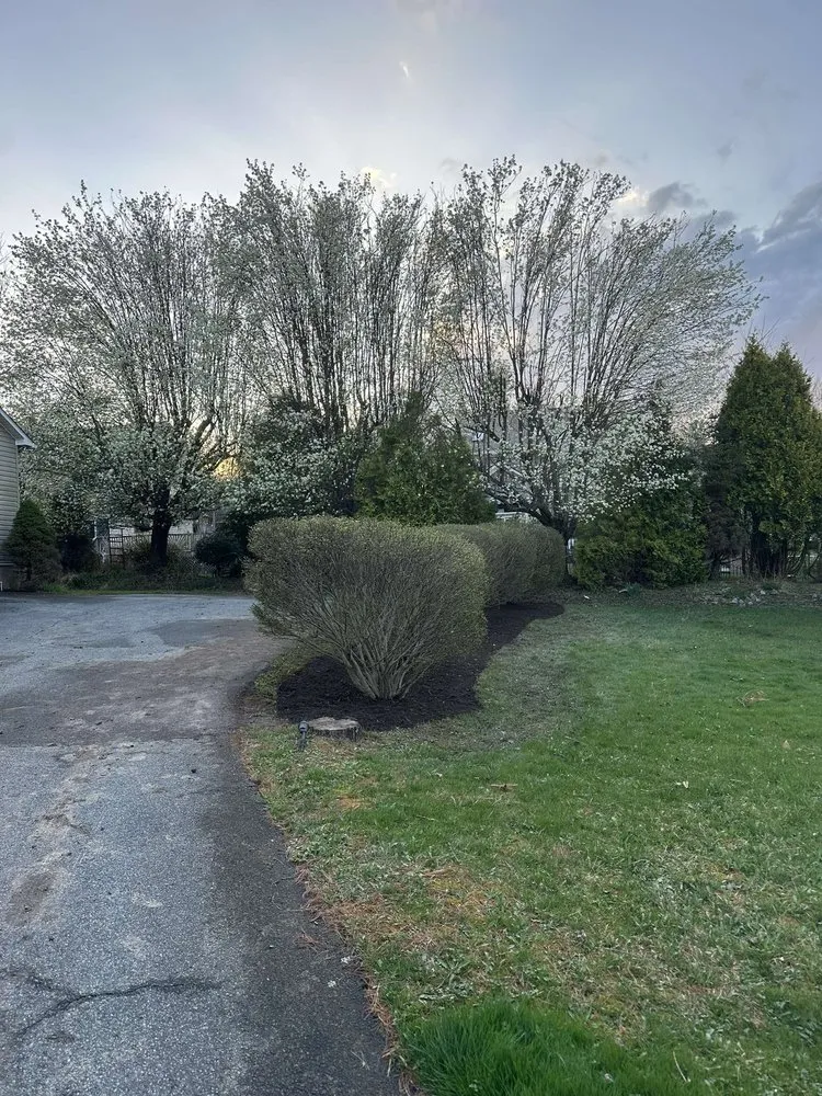 Top-rated garden landscaping experts serving Boone, NC - Q&M Lawncare