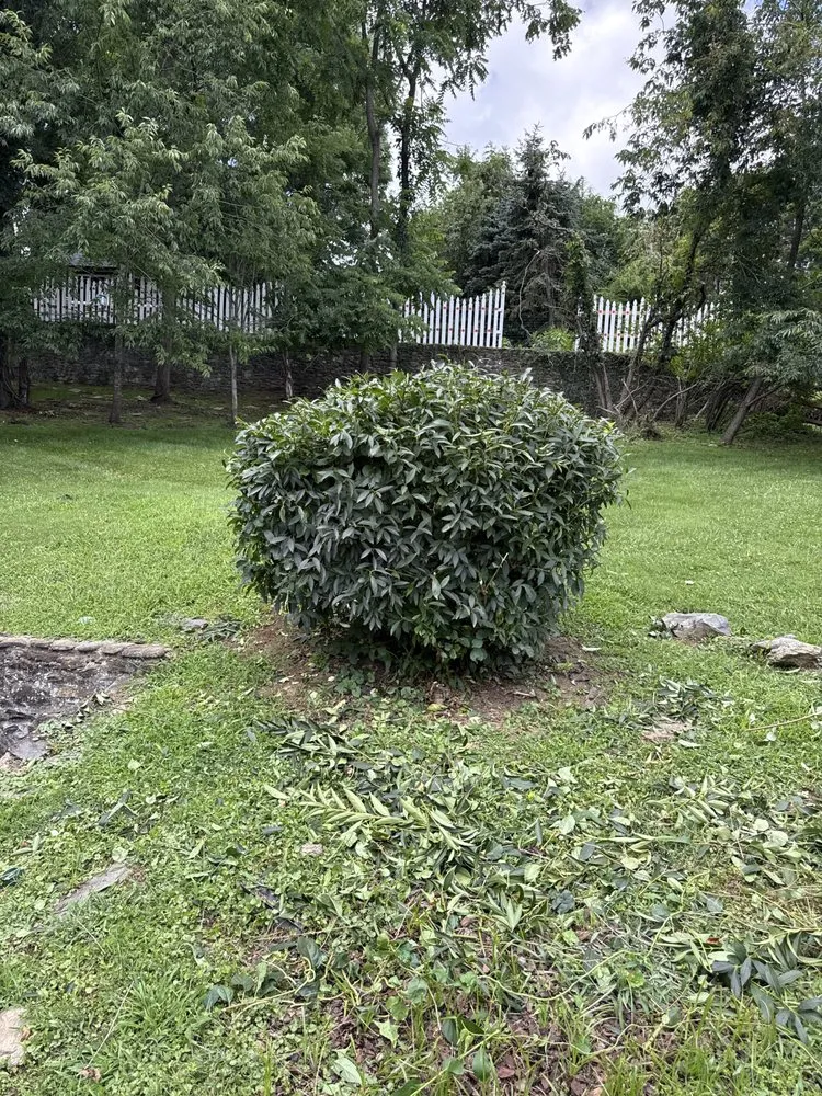 Trusted lawn care service in Boone, NC by Q&M Lawncare