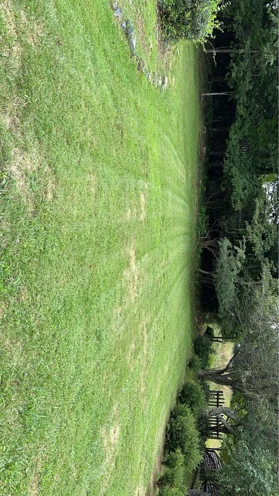 Expert outdoor landscaping near you in Boone, NC by Q&M Lawncare