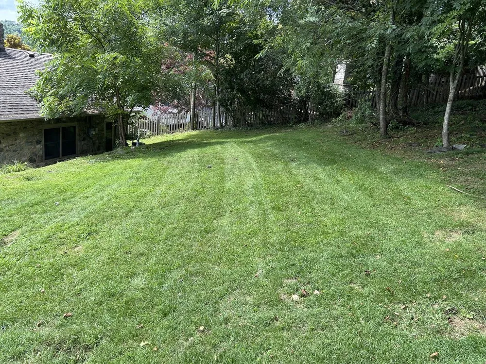 Reliable lawn care service in Boone, NC by Q&M Lawncare