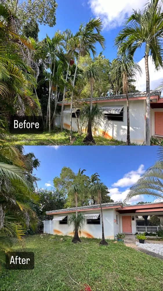 Top-rated yard maintenance for outdoor upgrades across Davie, FL - QNR landscaping & property maintenance