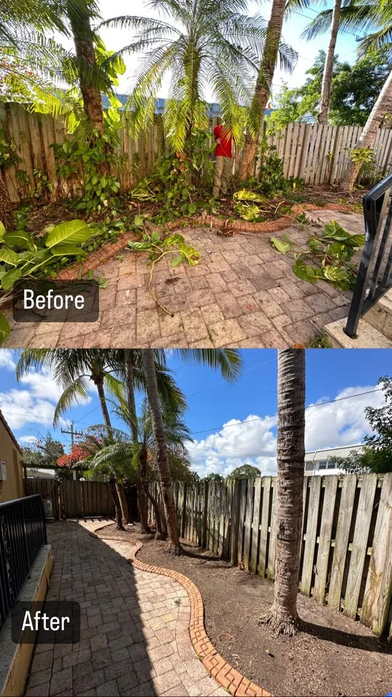 Local lawn care service in Davie, FL by QNR landscaping & property maintenance