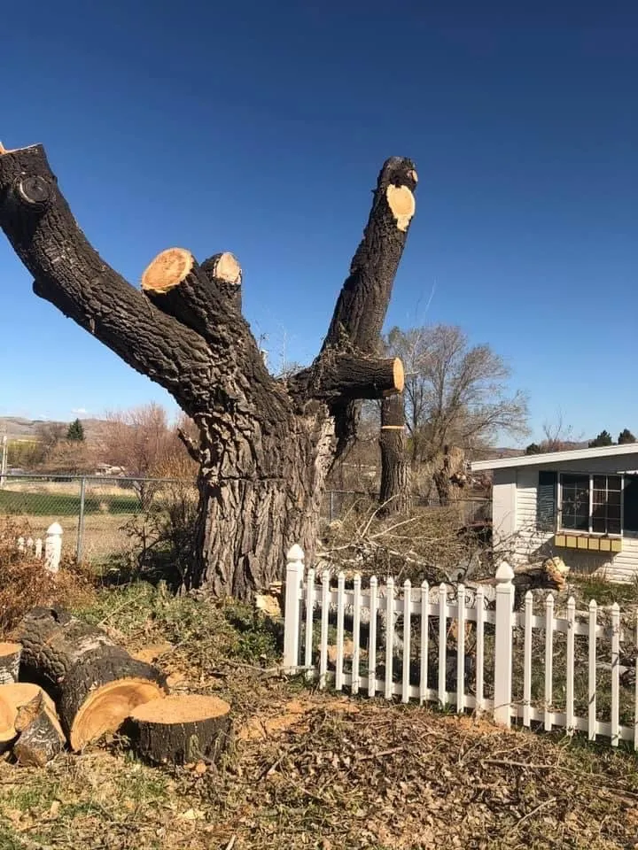 Local garden landscaping experts serving Salt Lake City, UT - QOQ Tree Services