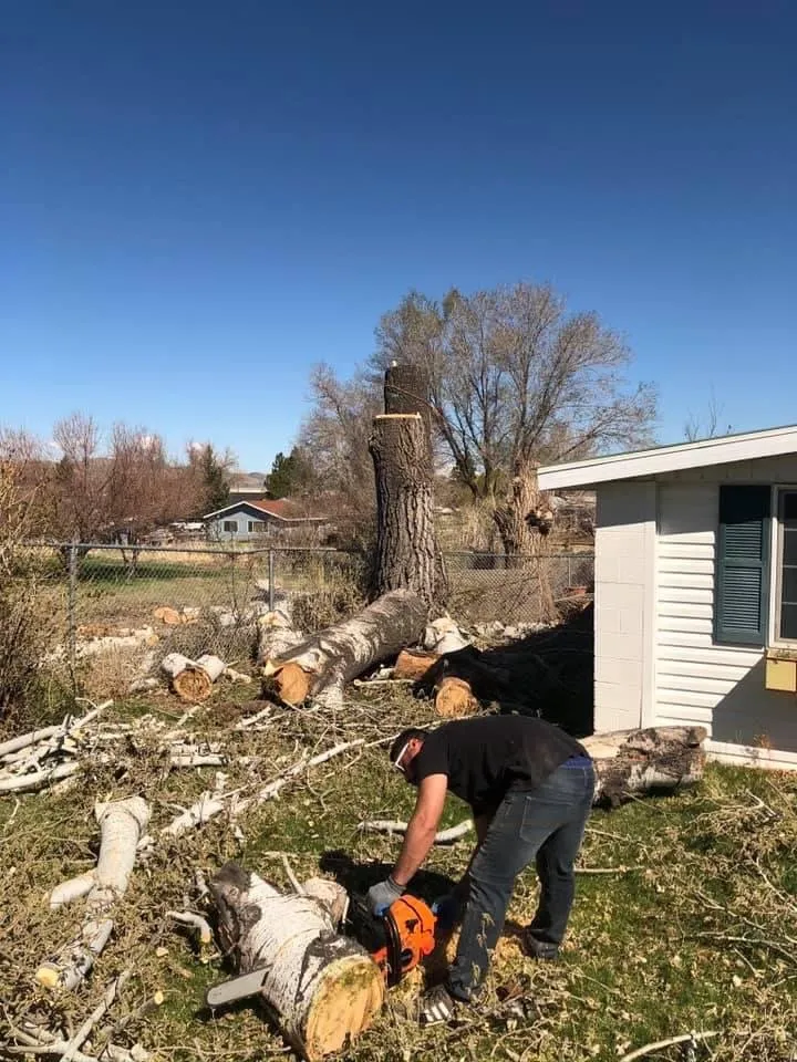 Reliable lawn mowing service experts serving Salt Lake City, UT - QOQ Tree Services