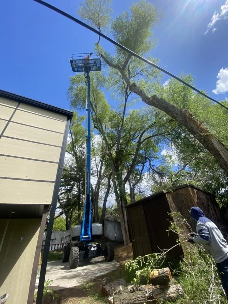 Custom lawn care service for residential properties across Salt Lake City, UT - QOQ Tree Services