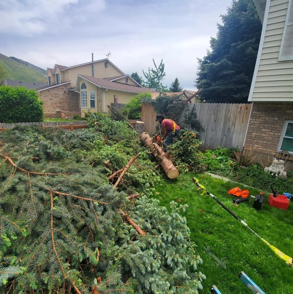 Affordable landscape installation in Salt Lake City, UT by QOQ Tree Services