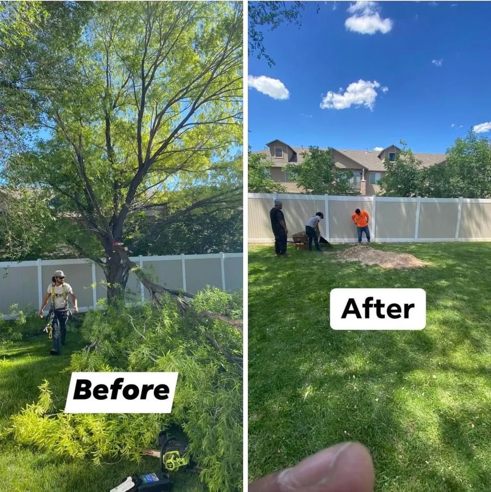 Expert lawn mowing service for homes across Salt Lake City, UT - QOQ Tree Services