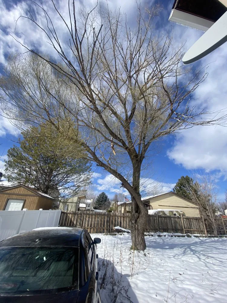 Top-rated lawn mowing service with custom design across Salt Lake City, UT - QOQ Tree Services