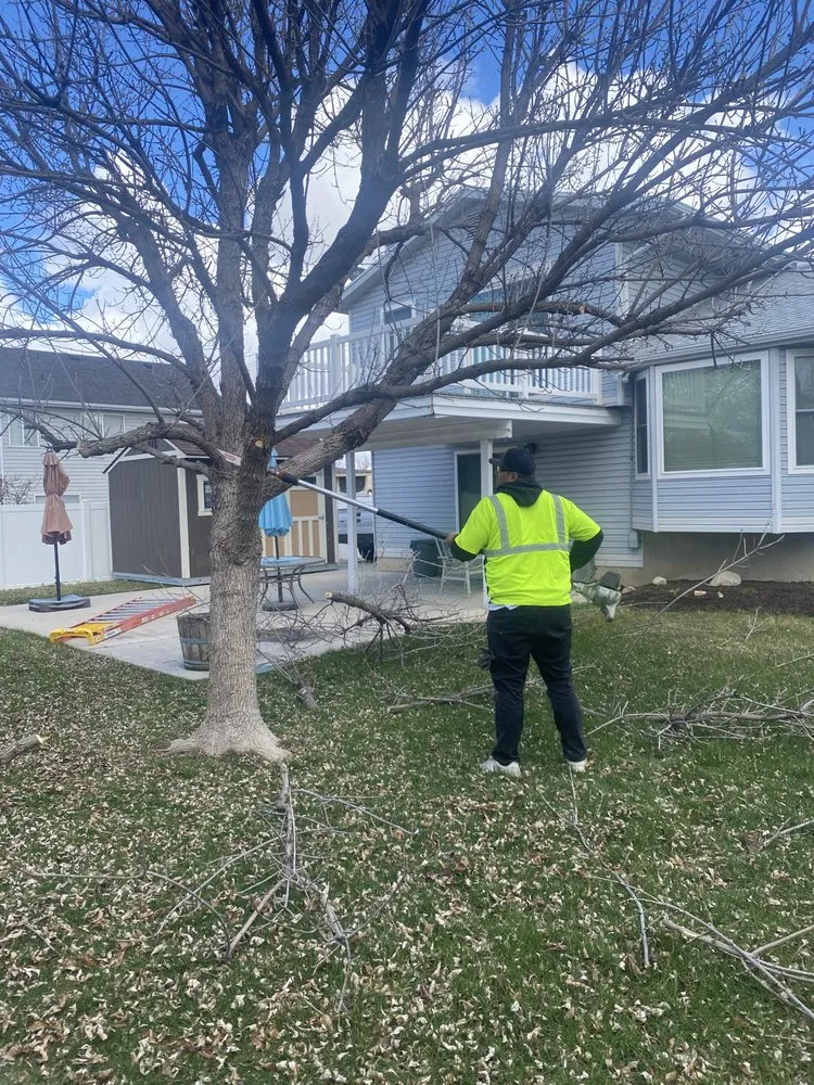 Affordable landscaping services for homes in Salt Lake City, UT by QOQ Tree Services