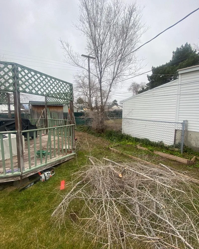 Trusted landscaping services in Salt Lake City, UT - QOQ Tree Services