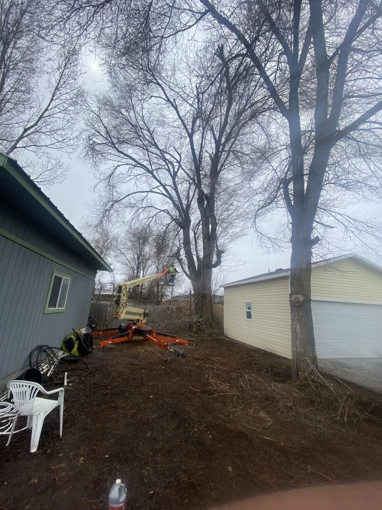 Trusted landscaping services experts serving Salt Lake City, UT - QOQ Tree Services