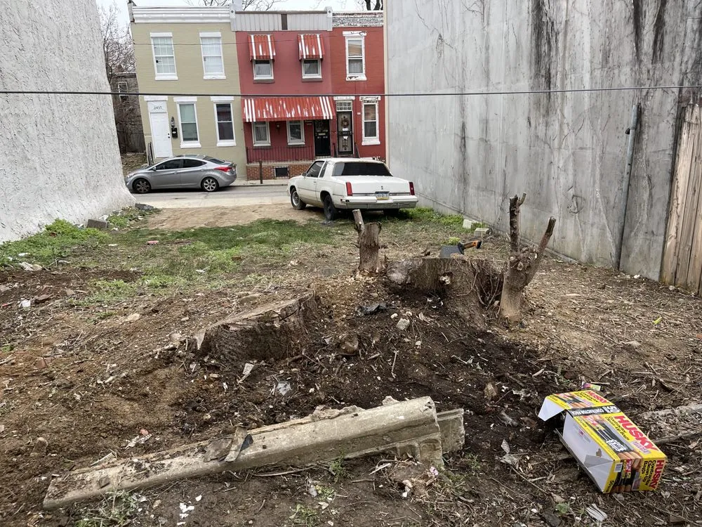 Local landscape installation experts serving Philadelphia, PA - Q&R Landscape Service