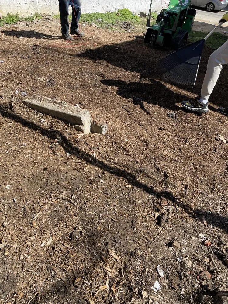 Local outdoor landscaping for homes in Philadelphia, PA by Q&R Landscape Service