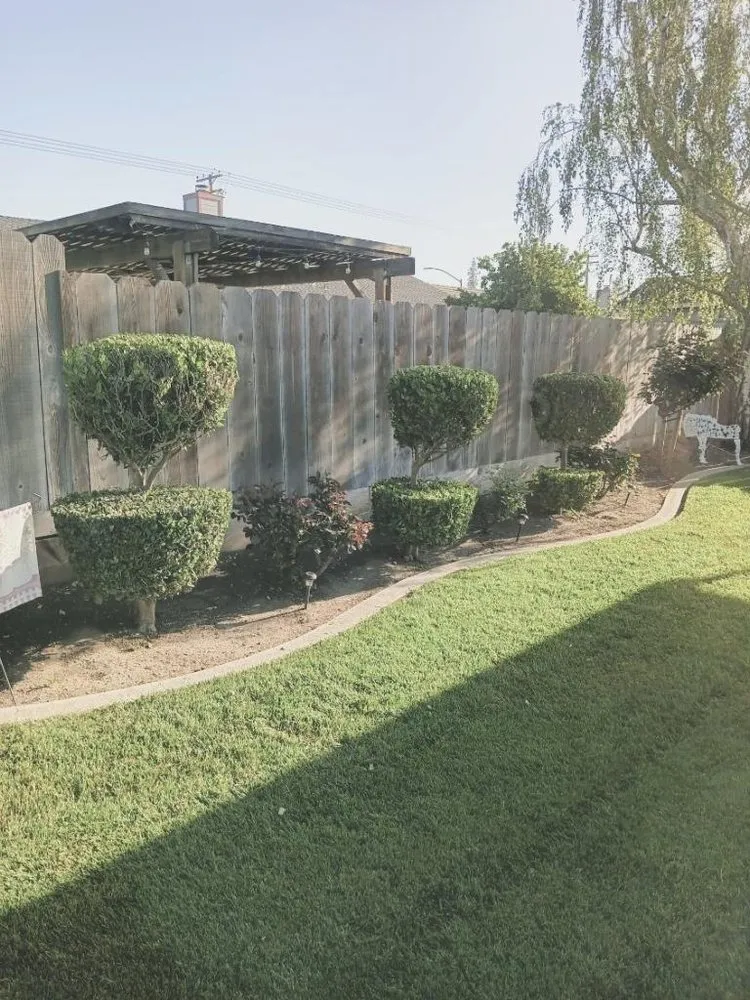 Top-rated landscape installation experts serving Newman, CA - Q's Green Valley