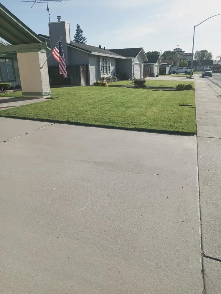 Affordable landscape design in Newman, CA - Q's Green Valley