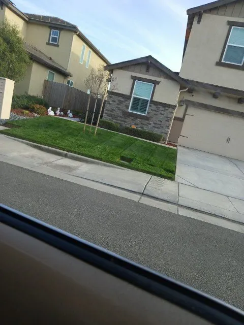 Top-rated outdoor landscaping for year-round maintenance across Newman, CA - Q's Green Valley