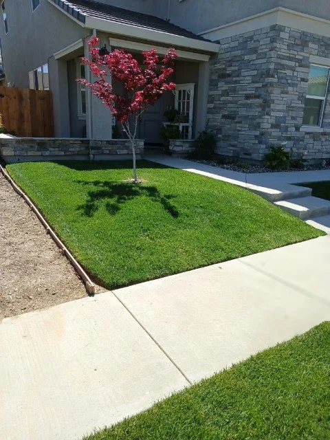 Professional outdoor landscaping near you across Newman, CA - Q's Green Valley