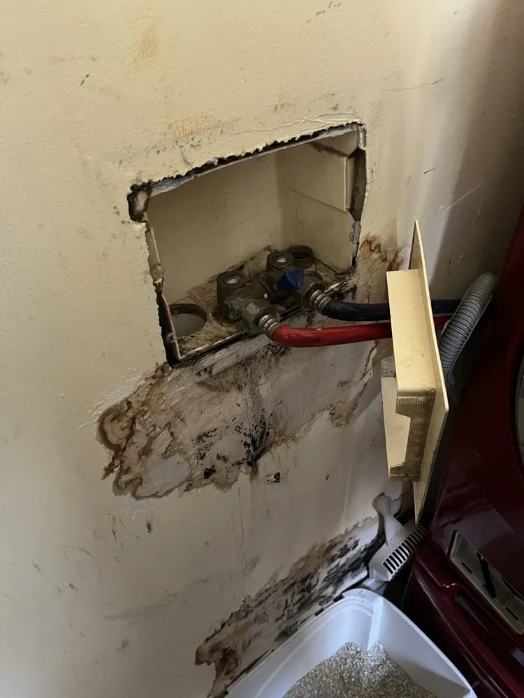 Trusted yard cleanup service with custom design in Chester, PA by Q’s Junk Removal And Landscaping