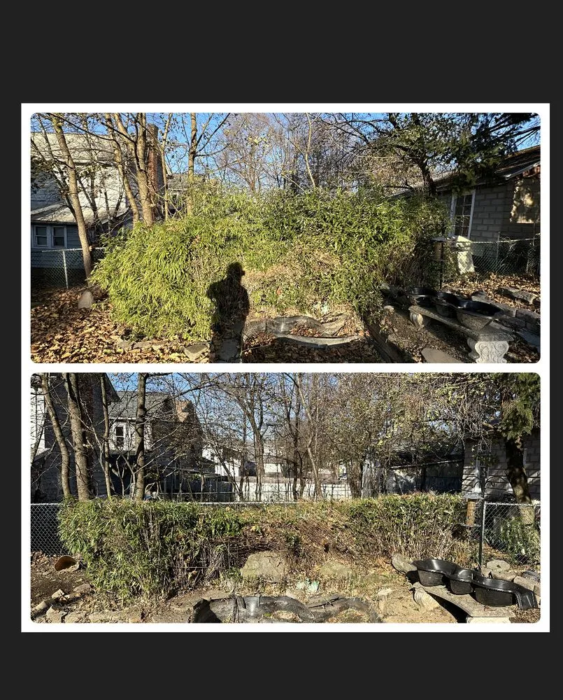 Trusted lawn mowing service experts serving Scranton, PA - Q’s Lawn & Landscaping