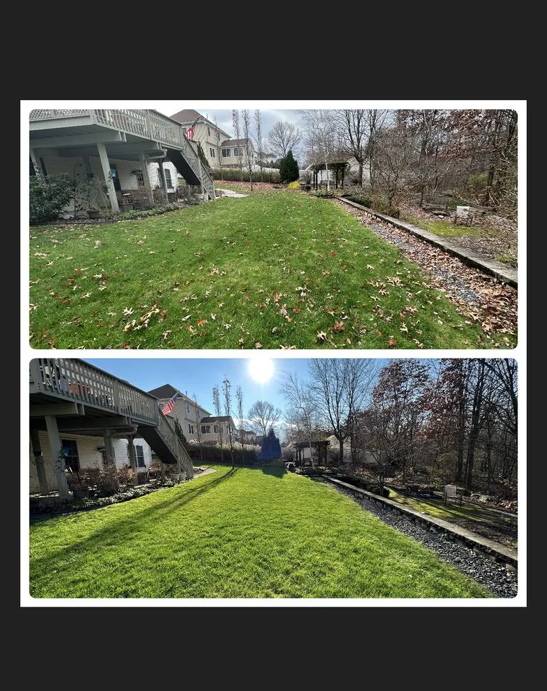 Top-rated yard maintenance in Scranton, PA - Q’s Lawn & Landscaping
