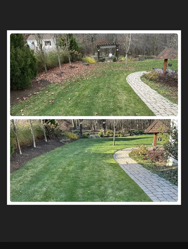 Reliable landscaping services for year-round maintenance across Scranton, PA - Q’s Lawn & Landscaping