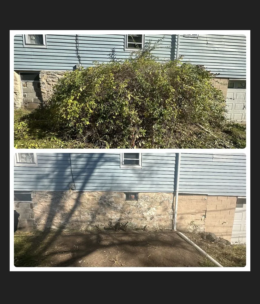 Expert yard cleanup service in Scranton, PA by Q’s Lawn & Landscaping