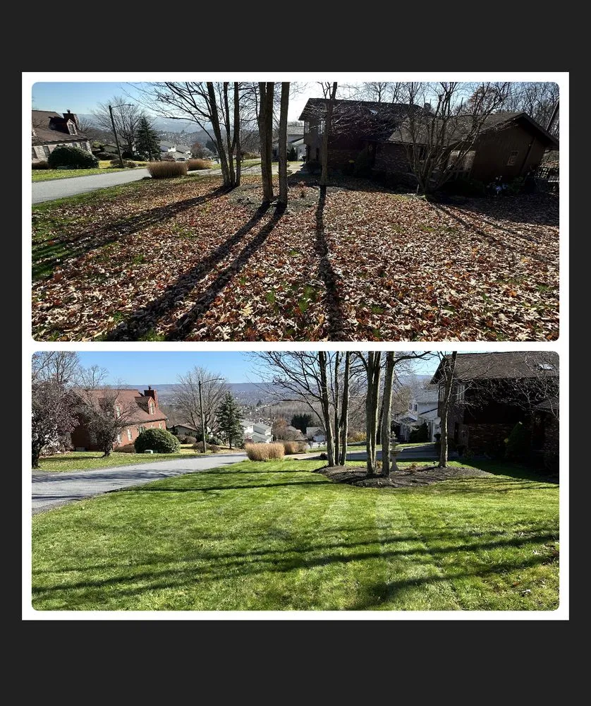 Expert landscape design near you across Scranton, PA - Q’s Lawn & Landscaping