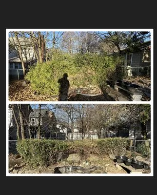 Q’s Lawn & Landscaping Logo