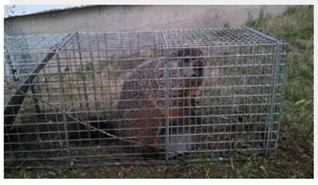 Trusted lawn mowing service in Emmetsburg, IA by QS Lawn & Sprinkler