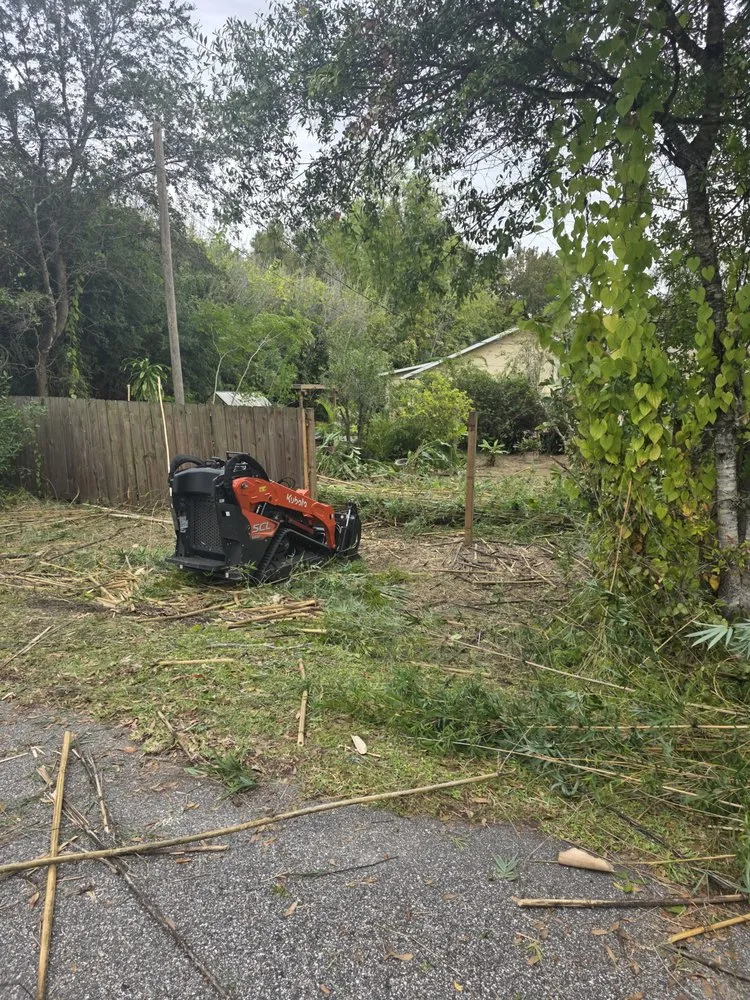 Reliable outdoor landscaping for homes across Cocoa, FL - Q's Lawn and Land Solutions