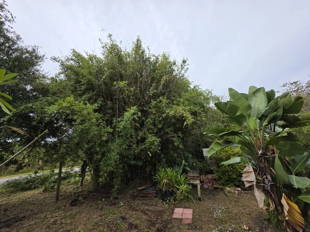 Expert yard maintenance for homes in Cocoa, FL by Q's Lawn and Land Solutions