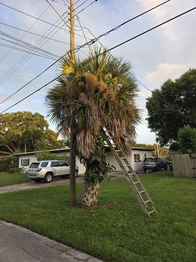 Custom outdoor landscaping in Cocoa, FL by Q's Lawn and Land Solutions