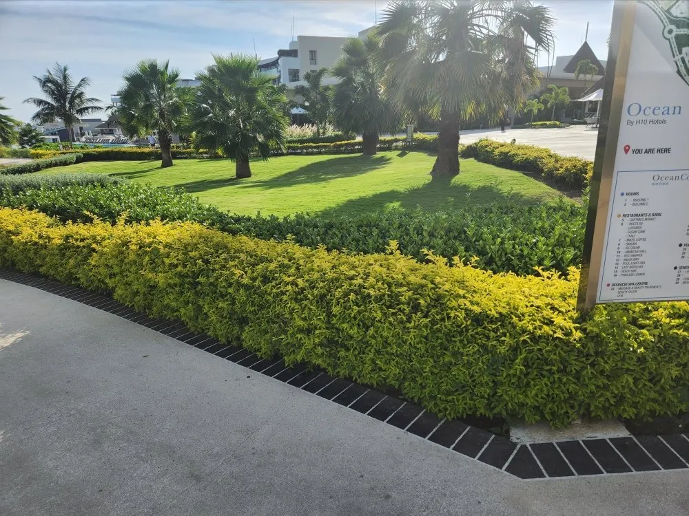 Affordable yard maintenance in Hope, AR - Q's Lawn Service