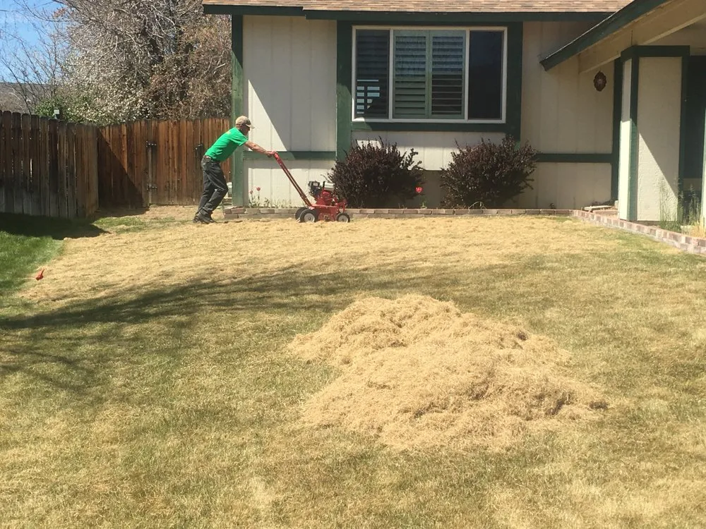 Top-rated yard maintenance with custom design in Reno, NV by Q's Lawn Service