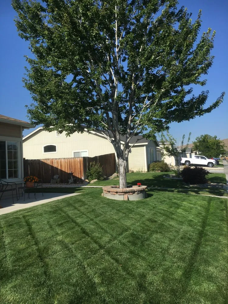 Trusted landscape installation experts serving Reno, NV - Q's Lawn Service