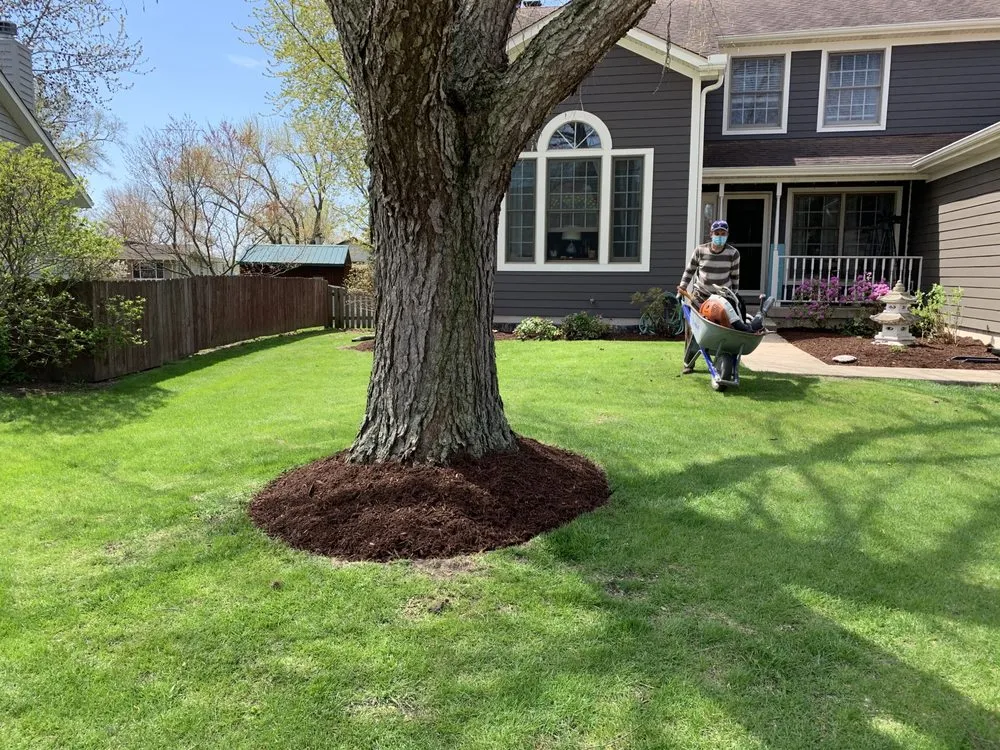 Professional landscaping services in DeKalb, IL by Q’S Lawncare