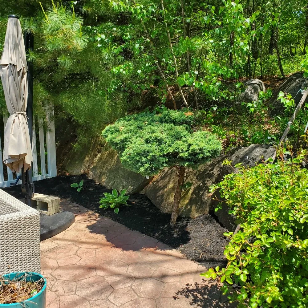 Expert yard cleanup service for outdoor upgrades in Coventry, RI by Q's Quality Lawn Care