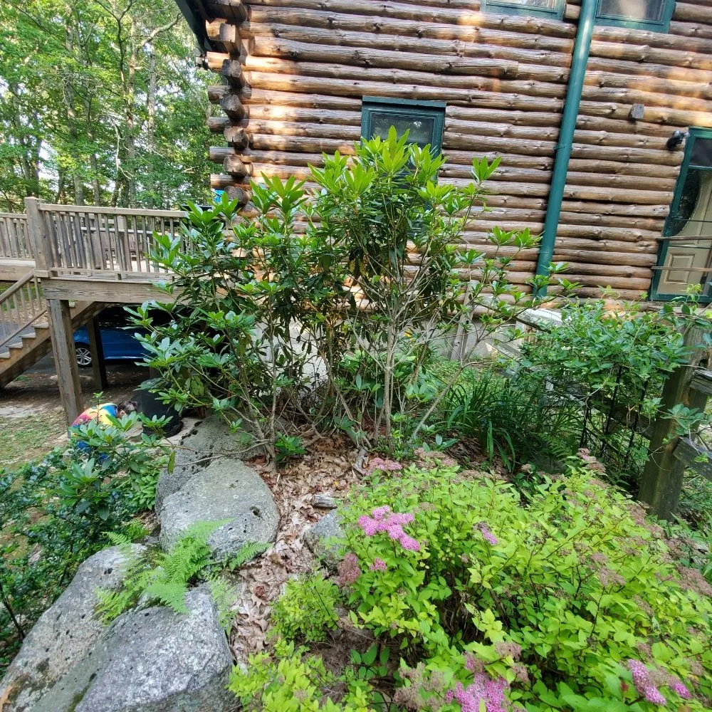 Expert landscaping services near you across Coventry, RI - Q's Quality Lawn Care