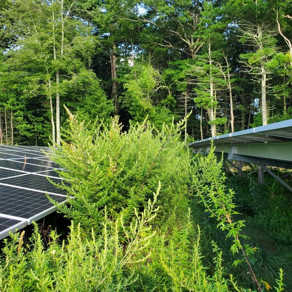 Reliable residential landscaping for homes in Coventry, RI by Q's Quality Lawn Care