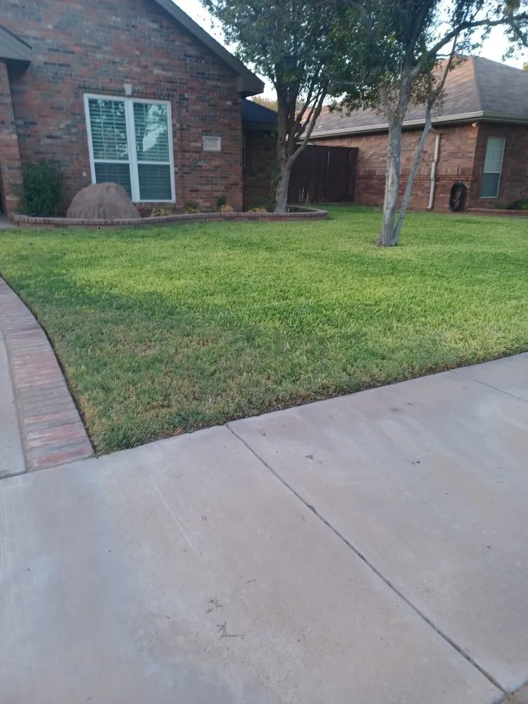 Local yard maintenance in Midland, TX by Q's Quality Lawnservice