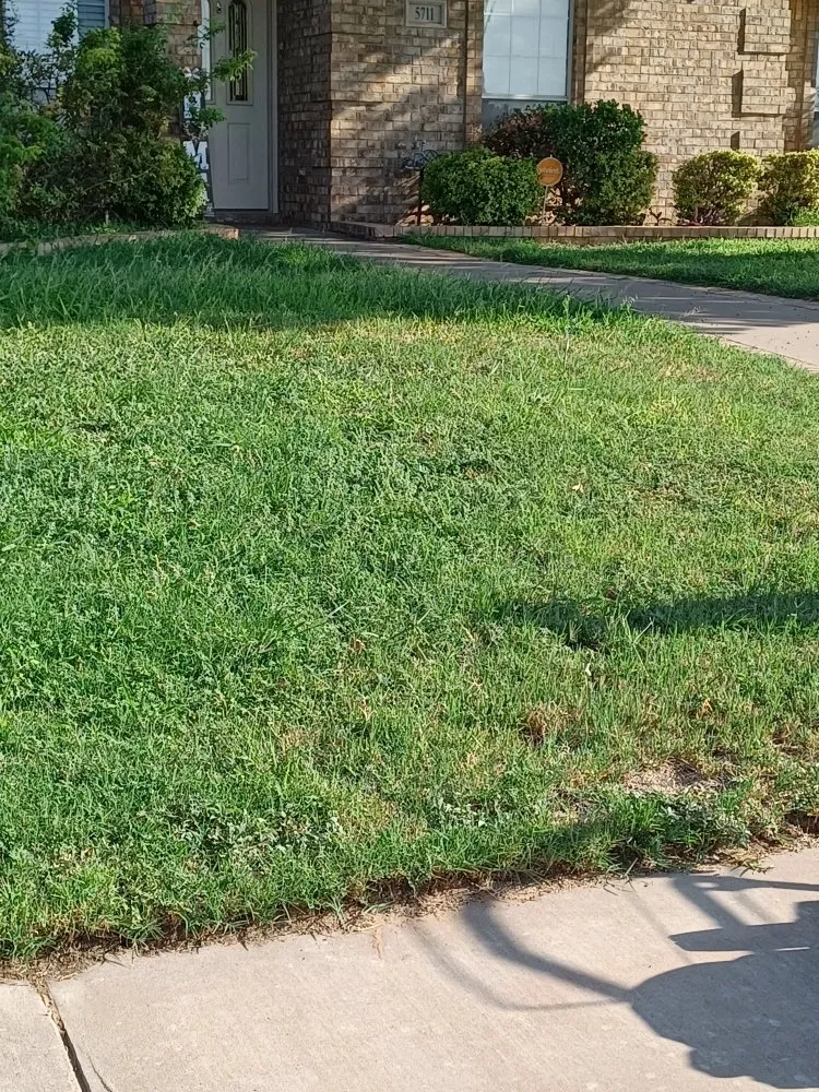 Custom yard maintenance in Midland, TX - Q's Quality Lawnservice