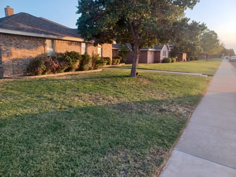 Local lawn mowing service for year-round maintenance across Midland, TX - Q's Quality Lawnservice