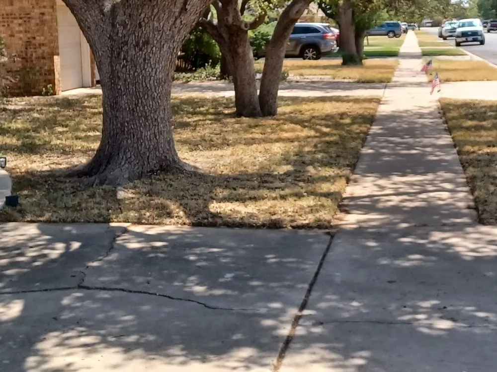 Custom lawn care service for outdoor upgrades in Midland, TX by Q's Quality Lawnservice