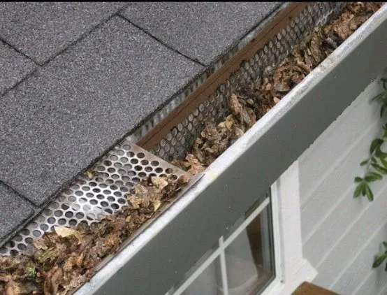 Local yard maintenance experts serving Alexandria, OH - Qs Quality Service