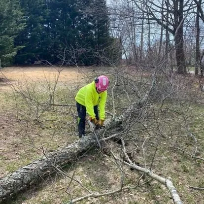 Expert garden landscaping experts serving Warwick, RI - Q’s Tree Service