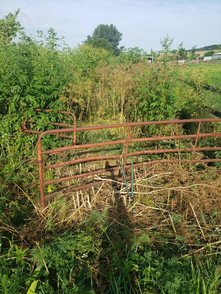 Reliable landscape design experts serving Rock Island, IL - QSGCU-LAWNCARE