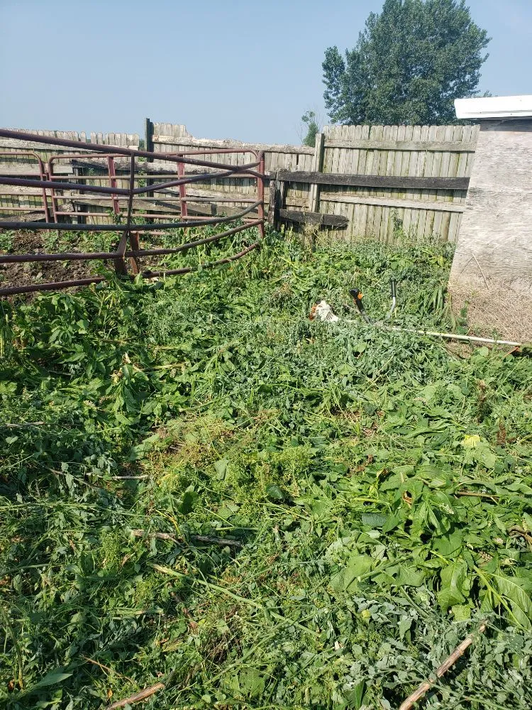 Reliable lawn mowing service in Rock Island, IL - QSGCU-LAWNCARE