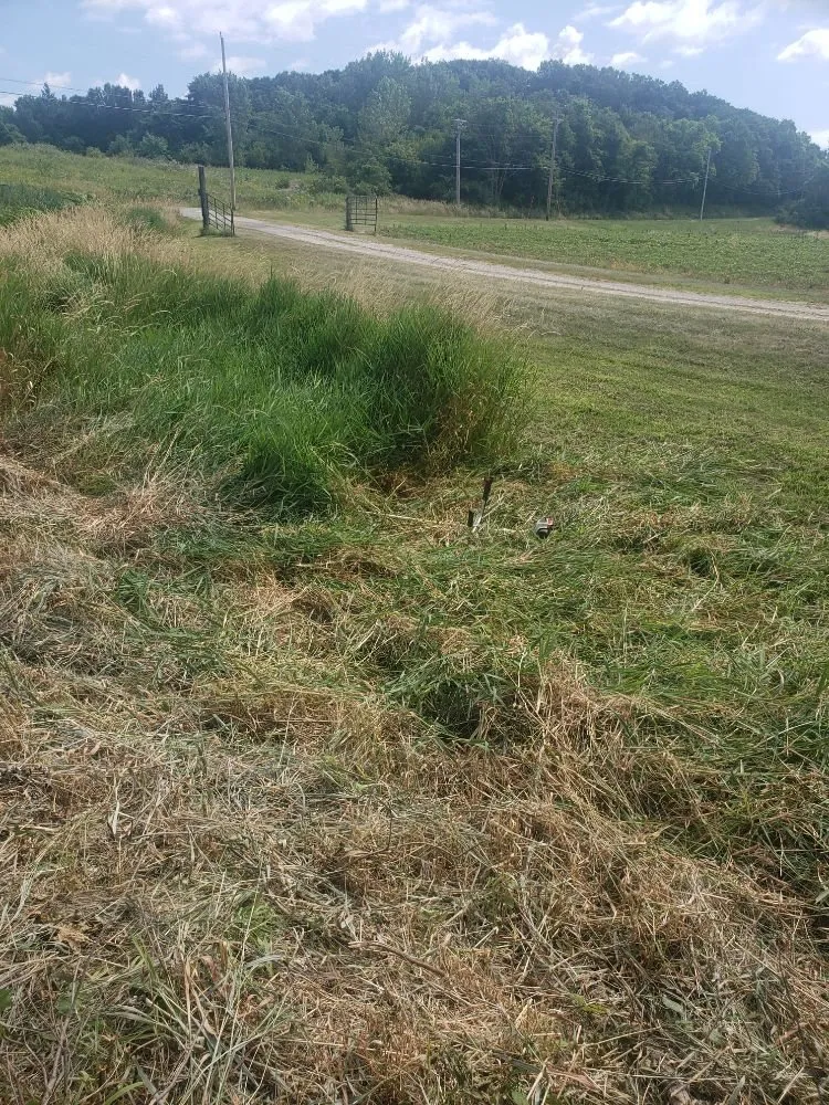 Professional landscape installation experts serving Rock Island, IL - QSGCU-LAWNCARE